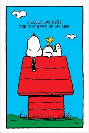 Poster Peanuts Snoopy multicolore 91,4 x 61 cm
